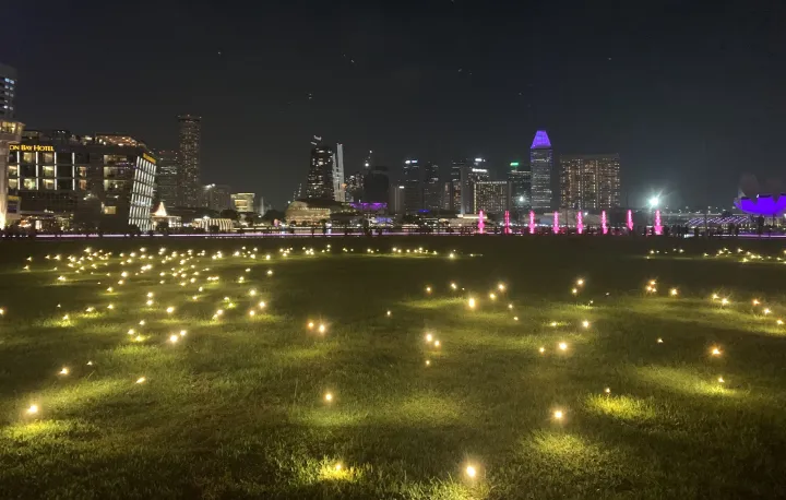 Firefly exhibit in Singapore