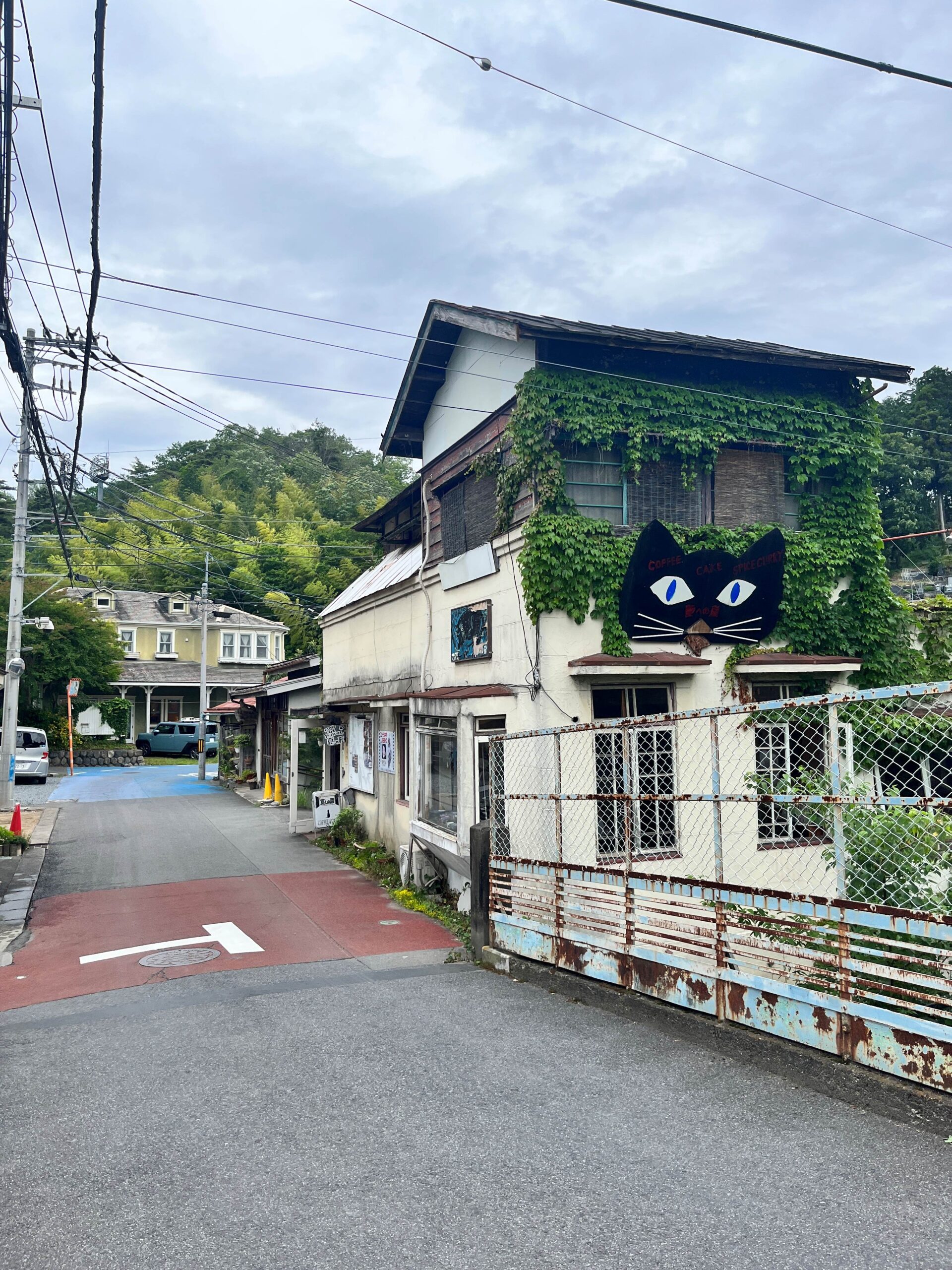 This is the cat-themed cafe above the train tracks, the inside also included some cat memorabilia.