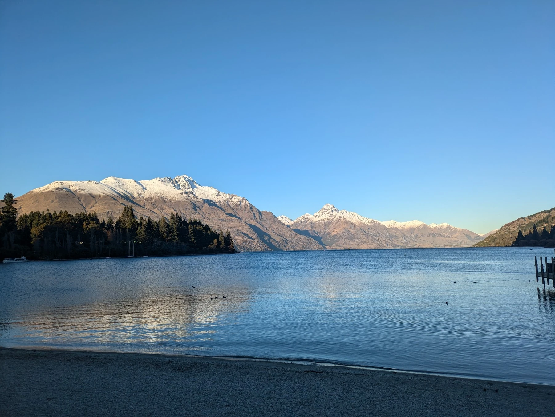 picture of Lake Wakatipu with ducks on the water, taken in Queenstown