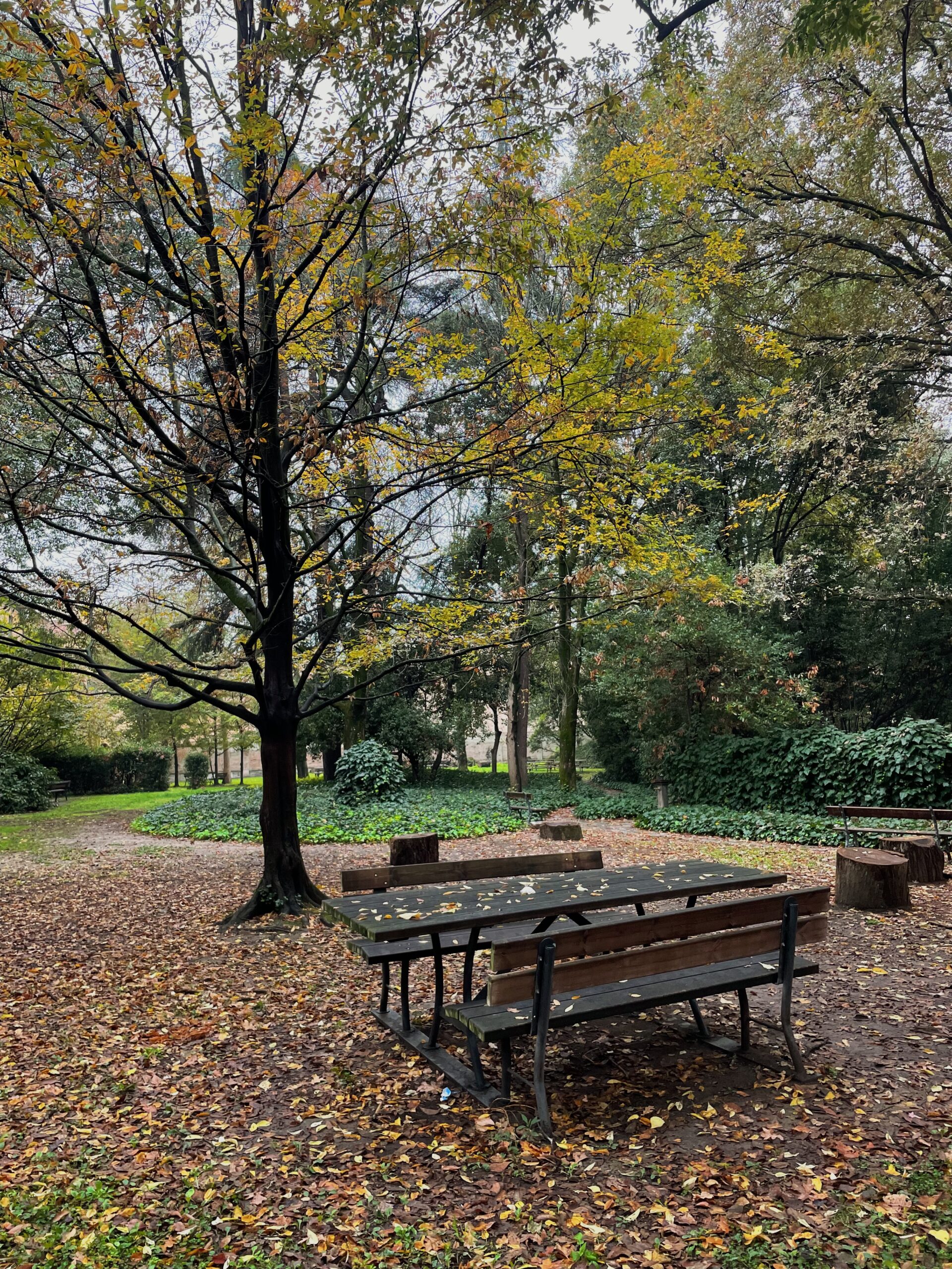 Giardino A. Dubček: Garden courtyard within Palazzo Ercolani that has picnic tables and outdoor seating options for studying, accessible only by UniBo students