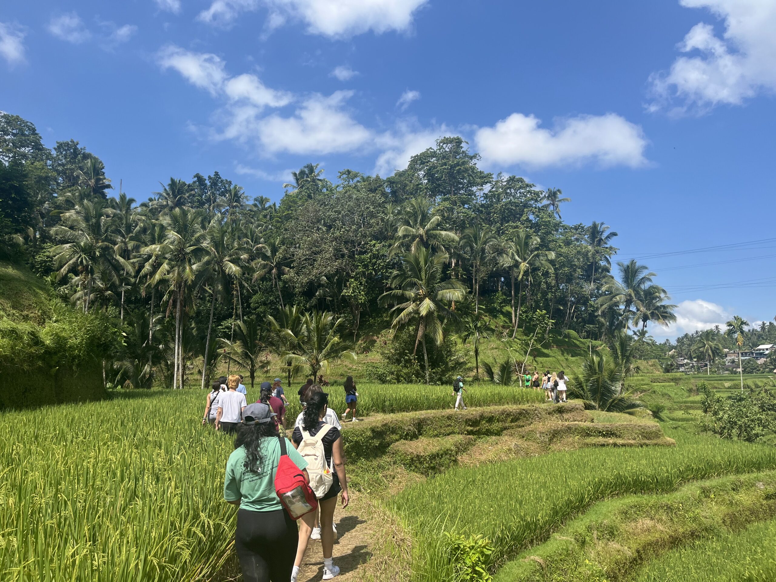 Penn Global Seminar students in Indonesia