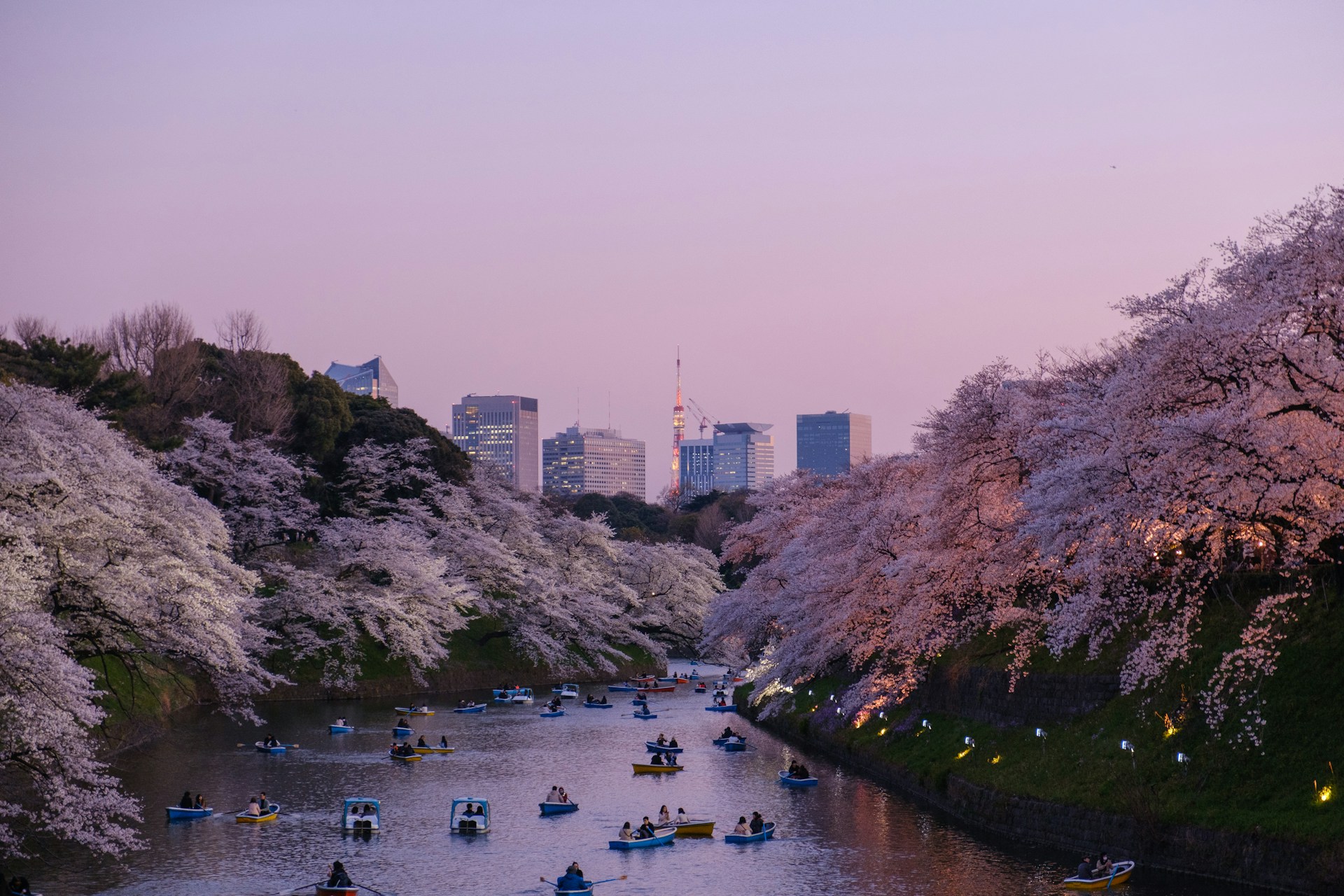 Photo by Yu Kato on Unsplash