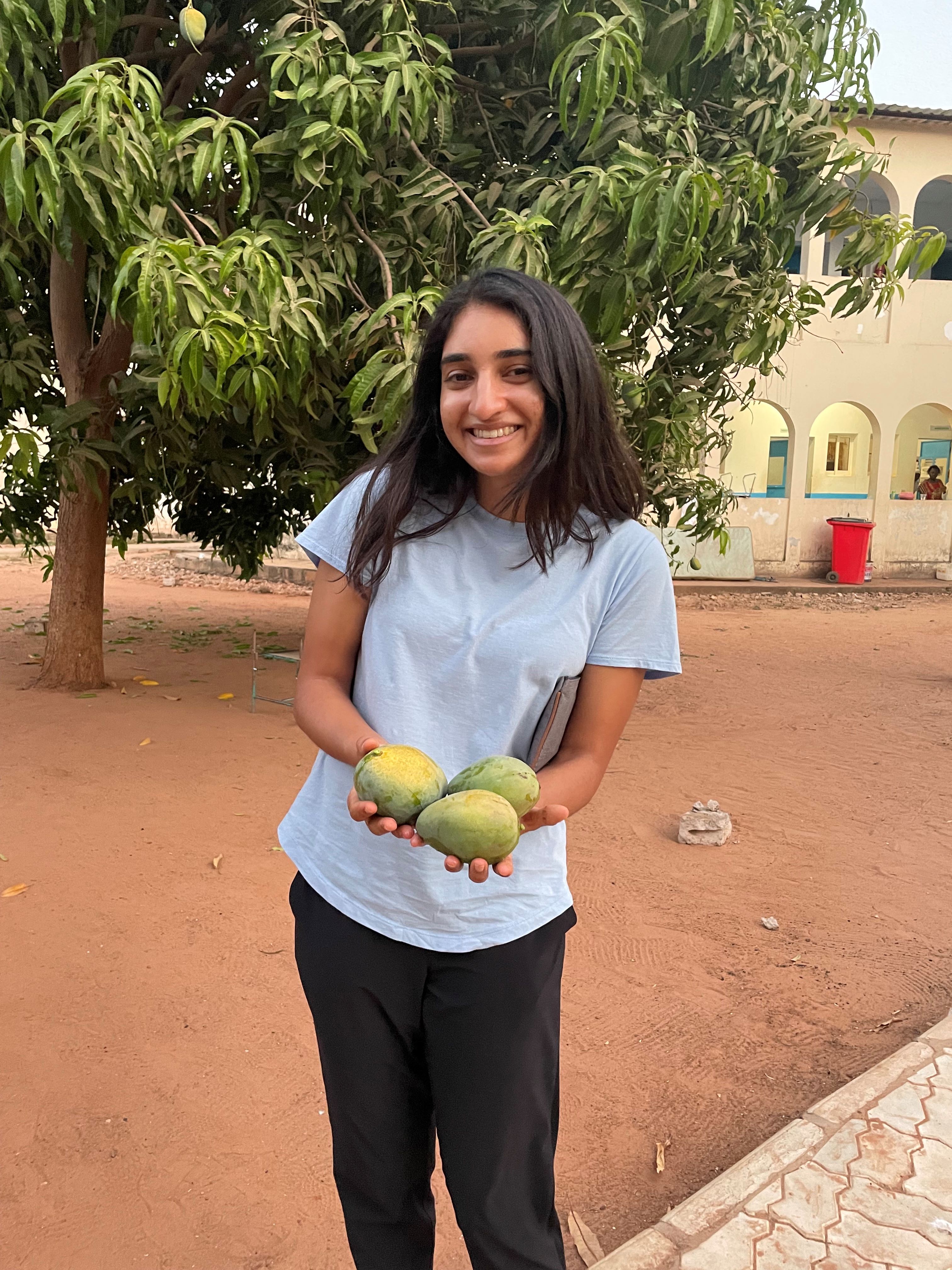 A few mangoes I picked!