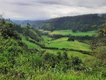 Fields and hills in Ecuador