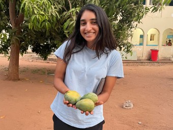A few mangoes Eesha picked!
