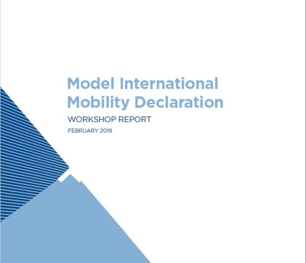 mimd-workshop-report