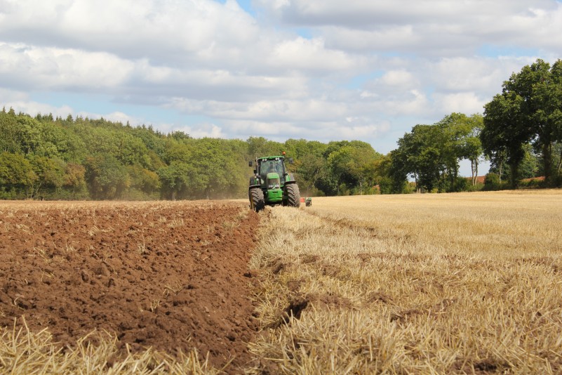 A tractor driving down a field of crops