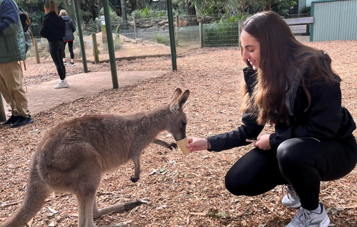 Student feeding a Kangaroo