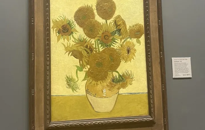 Student photo of Van Gogh's Sunflowers