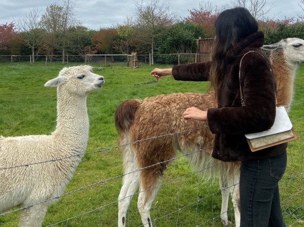 Ishaani with llamas